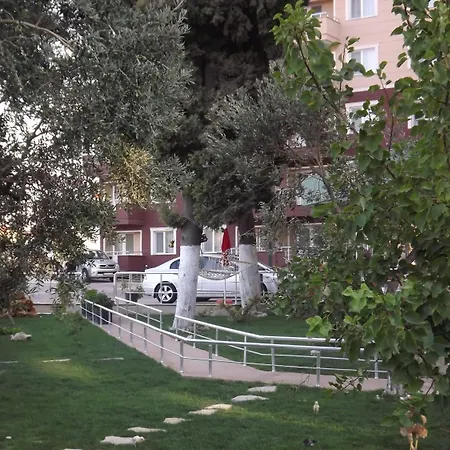 Zileli
