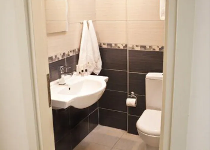 ホテル Zileli チャナッカレ