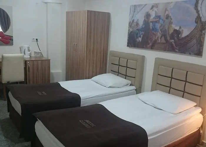 Zileli ホテル チャナッカレ